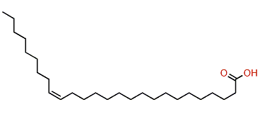 (Z)-17-Hexacosenoic acid